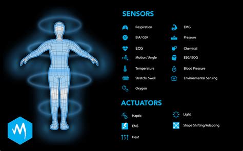 Office.Body interface .
